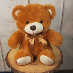 12" Sitting Traditional Teddy Duo