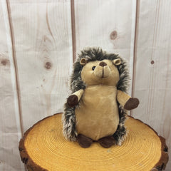9" Friendly Hedgehog
