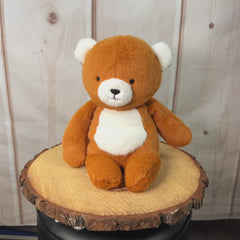 13" Minky Cuddle Bear