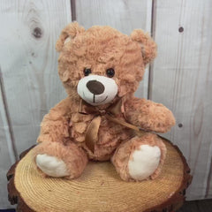 10.5" Light Colored Bear Pair