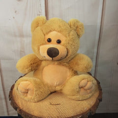 9" Beige Friendship Bear