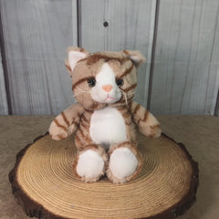 11" Cuddle Cat