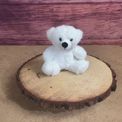 6" Winter White Colorama Bear