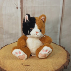 6.5" Sitting Cozy Calico Kitten