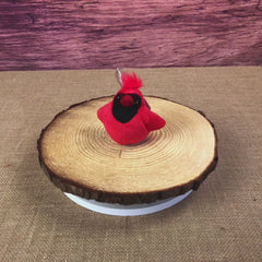 4" Cardinal