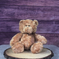 14" Classic Large Chenille Bears