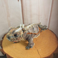 14" Horned Frog