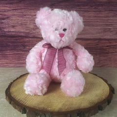14" Curly Baby Teddy Bear Assortment