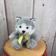 A gray husky that is 7 inches tall while sitting wearing a yellow bow