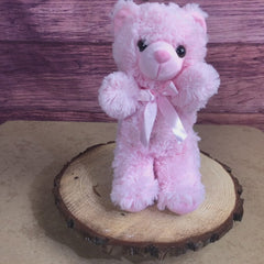 14" Pink or Blue Teddy Bear