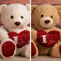 stuffed valentines bear holding i love you heart