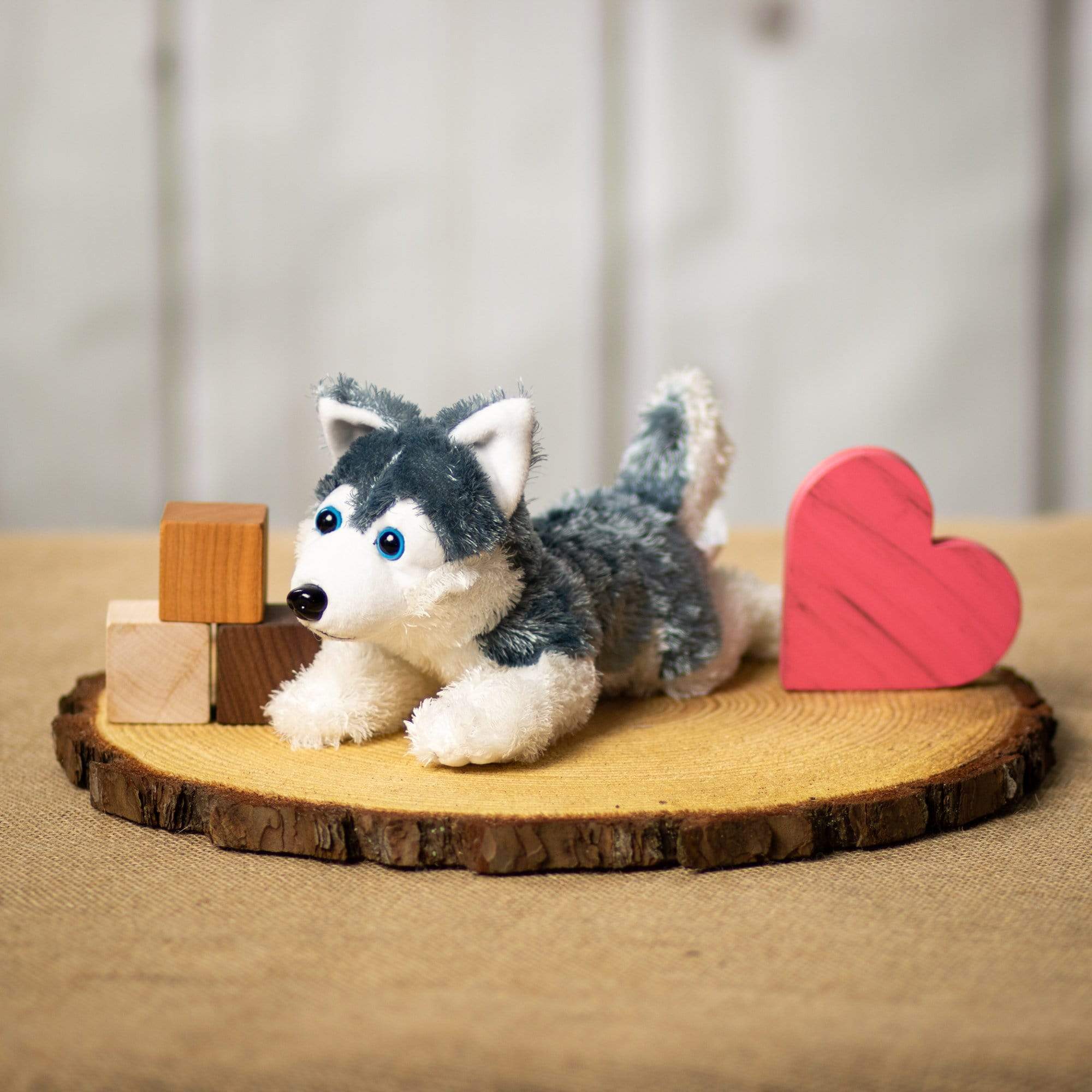 A laying grey and white laying husky that is 10 inches from head to tail laying on a piece of wood