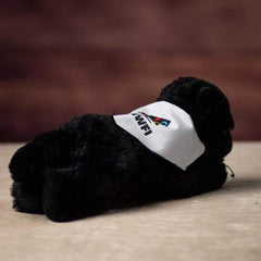 A laying black panther wearing a white bandanna with a logo printed on it
