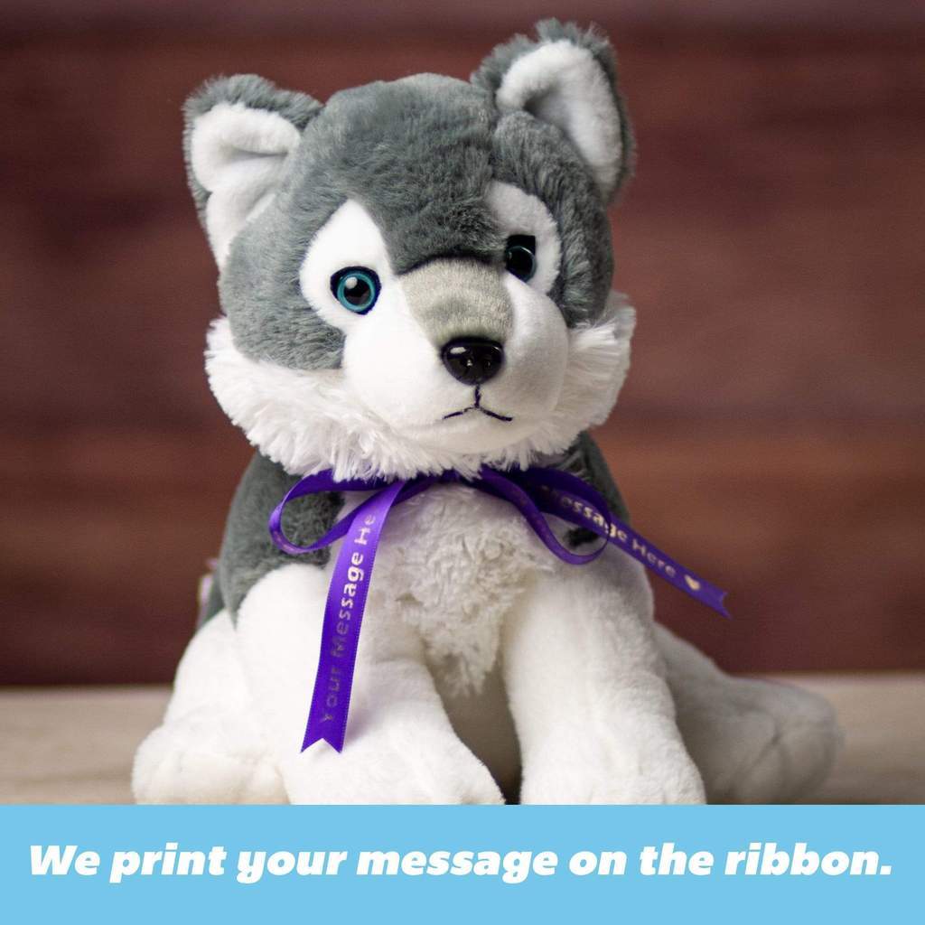 A plush husky wearing a purple ribbon
