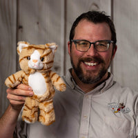 A man holds a beige striped cat that is 11 inches tall while standing