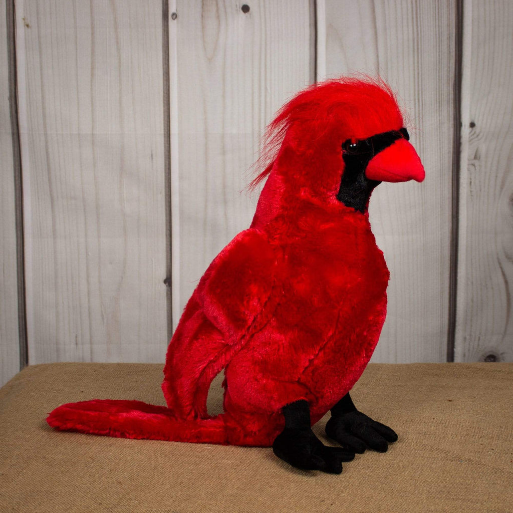 A red cardinal bird that is 18 inches tall while sitting