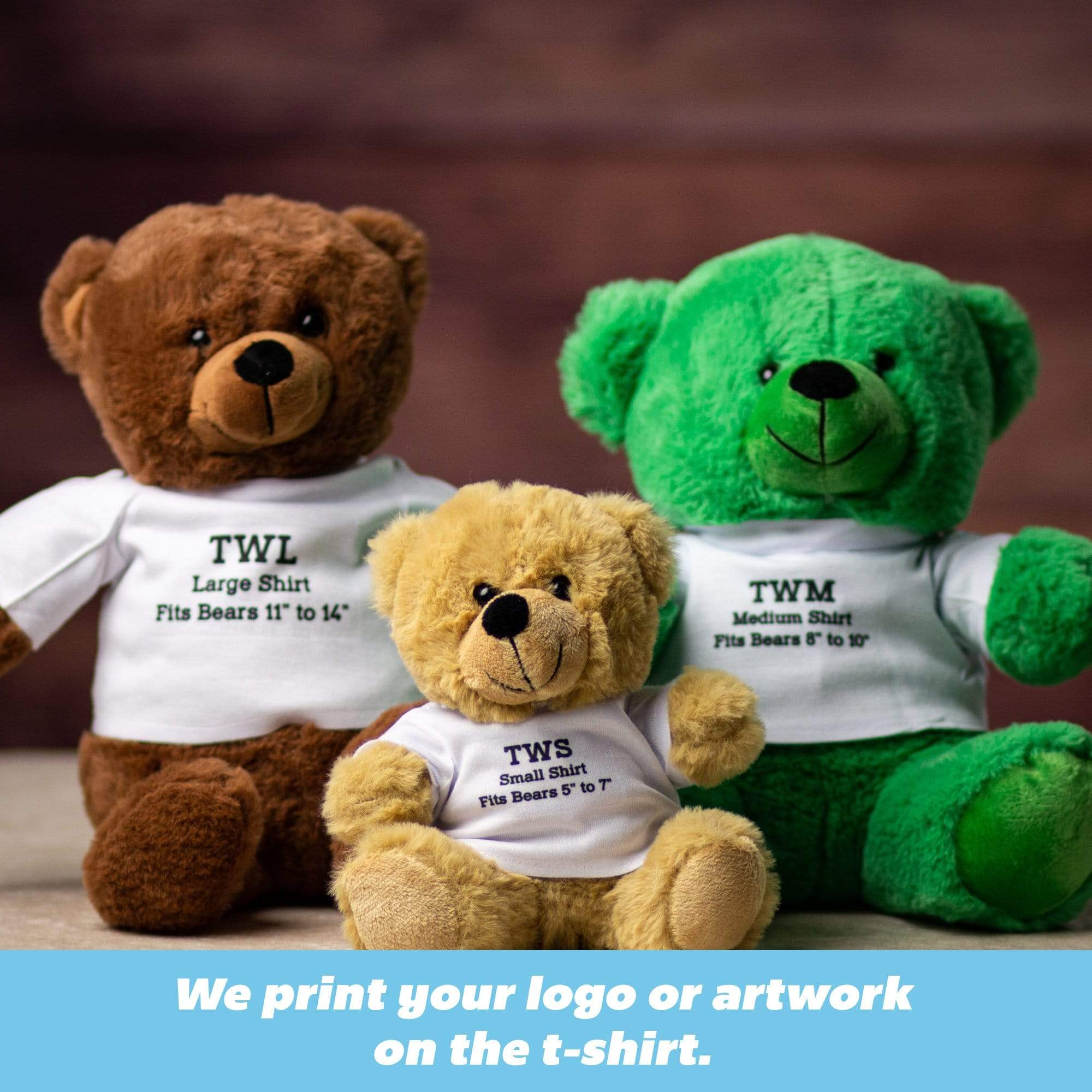 Custom-Printed T-Shirt for Any 6 to 14 Teddy Bear