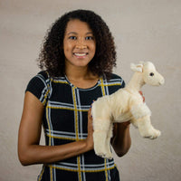 A woman holds a beige llama that is 12 inches tall while standing