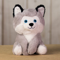 An oversized, white and gray husky that is 11 inches tall while sitting