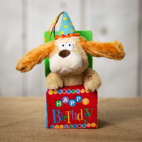 A  animated/singing birthday dog that pops out of a box that that says "HAPPY Birthday" 
