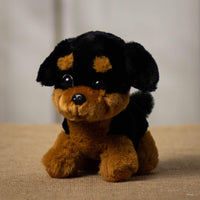A black and brown puppy that is 7 inches tall while sitting