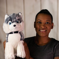 A woman holding a husky that is 14 inches tall while sitting with sparkle blue eyes wearing a collar