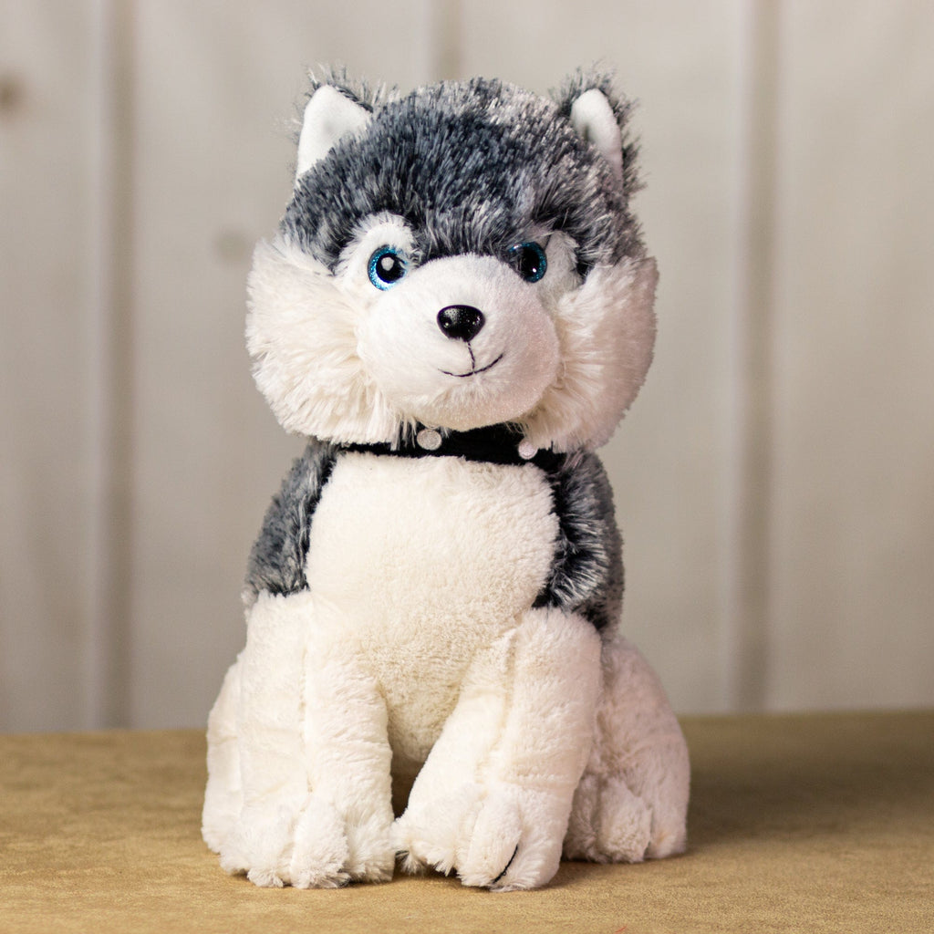 A husky that is 14 inches tall while sitting with sparkle blue eyes wearing a collar