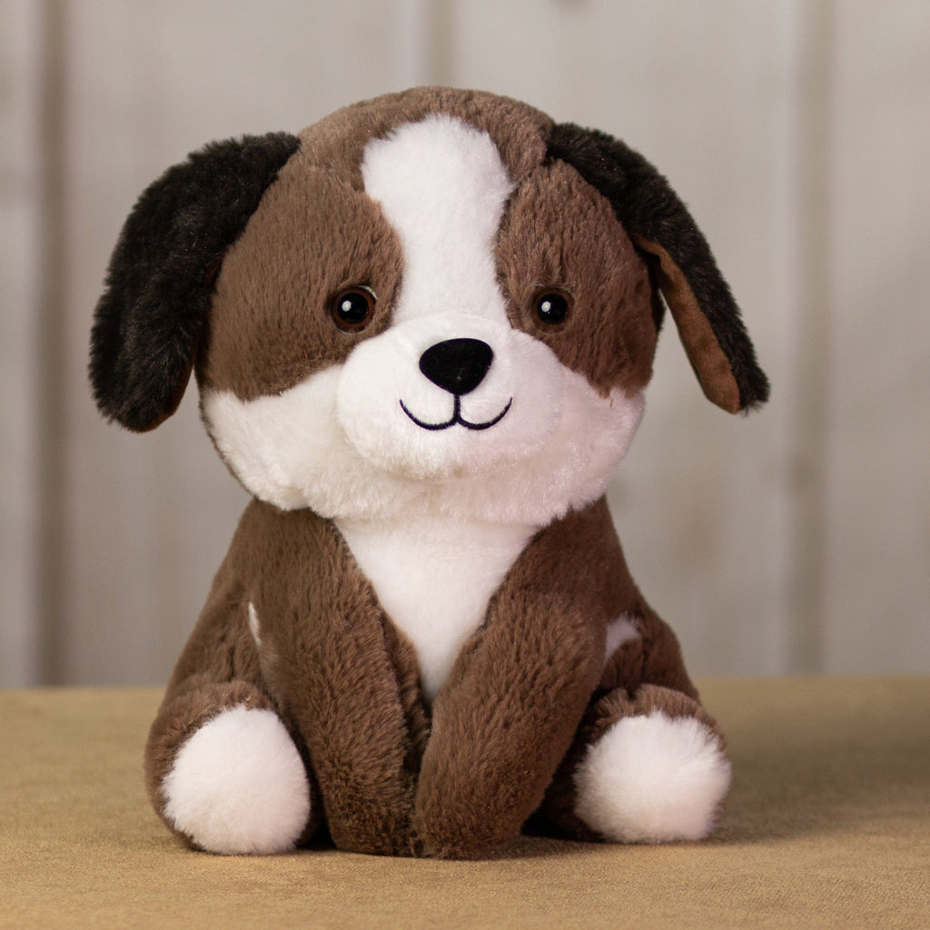 An oversized, white and brown dog that is 11 inches tall while sitting