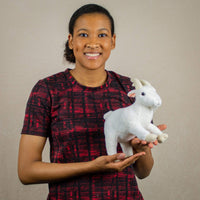 A woman holds a white goat that is 9 inches from head to tail