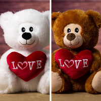 9.5" Smiling Valentine Bear Collection